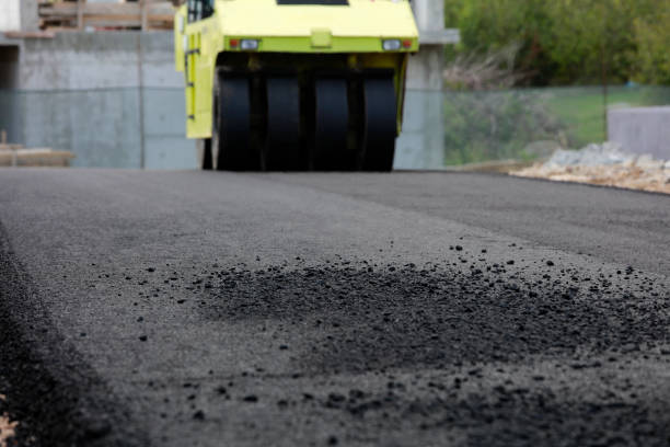 Best Driveway Paver Repair  in Palmer, TX