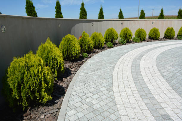 Best Best Driveway Pavers  in Palmer, TX